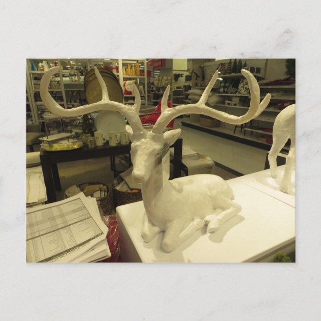 Decorative Deer Postcard (Front)