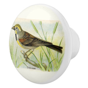Decorative Dickcissel Bird Ceramic Knob
