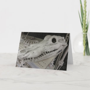 Decorative Gator Skull Card