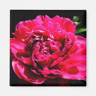 Decorative Magnet - Flower