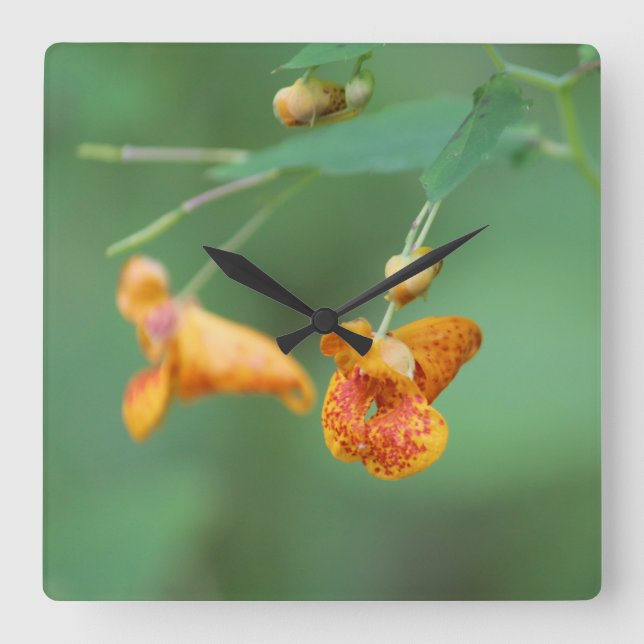 Decorative Orange Wildflower Square Wall Clock (Front)