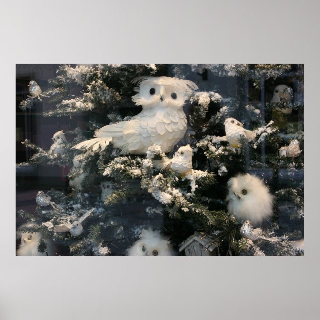 Decorative owl on christmas tree poster (Front)