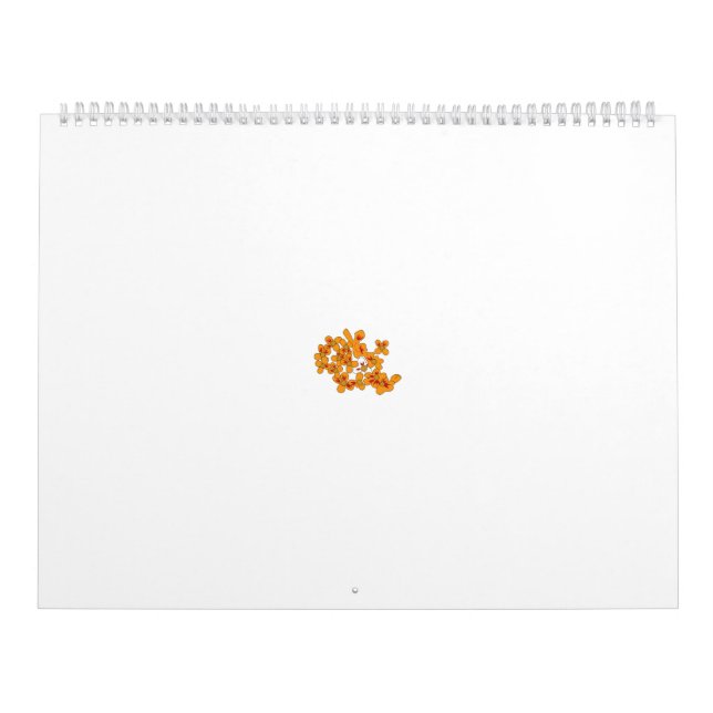 Decorative pattern of orange and white stylized fl calendar (Cover)