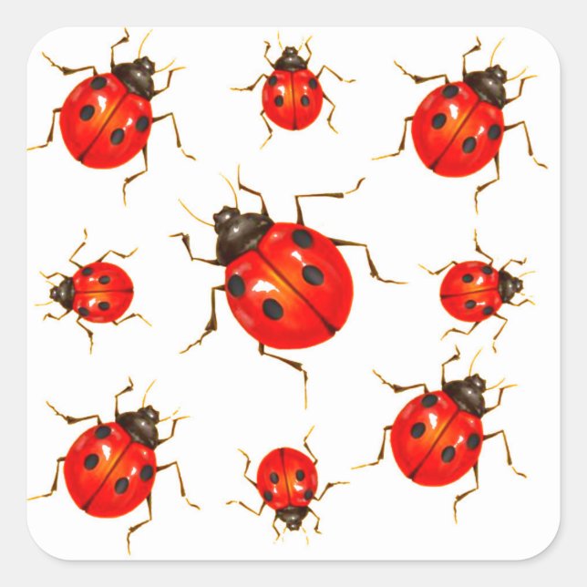 DECORATIVE RED LADY BUG GIFTS SQUARE STICKER (Front)