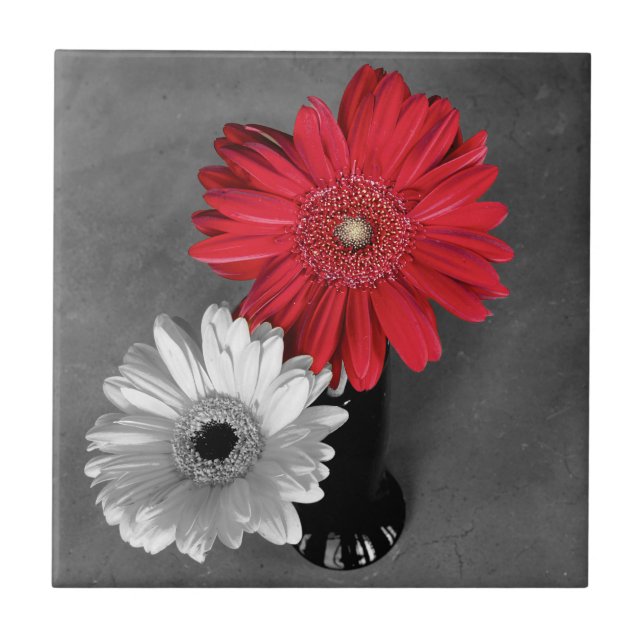 Decorative  Red Splash Gerber Daisy On Monochrome Tile (Front)