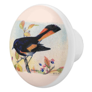 Decorative Redstart Bird Ceramic Knob