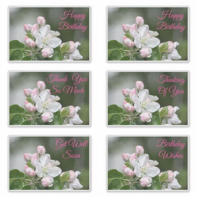 Decorative Stickers For All Occasions (Front)