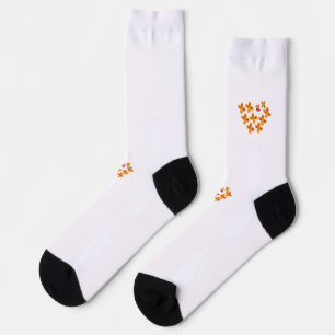 Decorative Style, Dull Orange, Cornell Red Socks