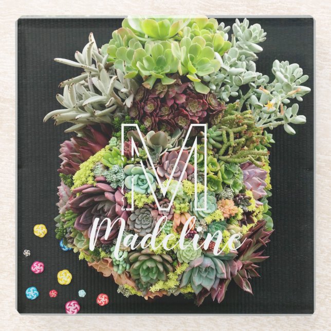 Decorative Succulents Glass Coaster (Front)