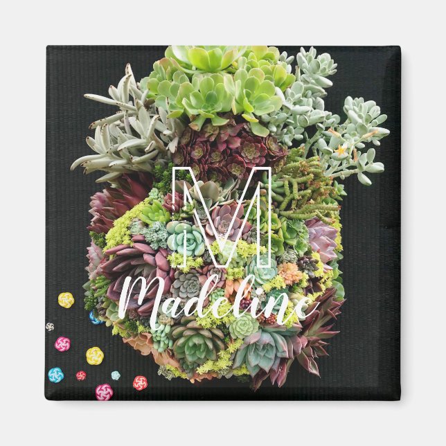 Decorative Succulents Magnet (Front)