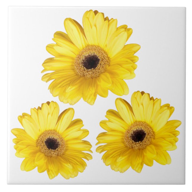 Decorative Three Yellow Gerber Daisy  Photos Tile (Front)