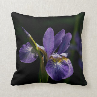 Decorative Throw Pillows. Pillow