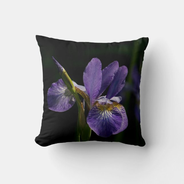 Decorative Throw Pillows. Throw Pillow (Front)
