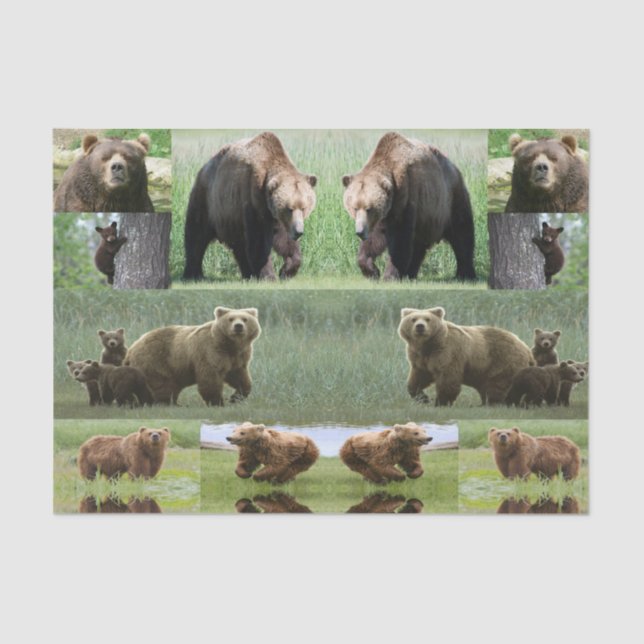 Decorative tissue paper bears wildlife (Front)