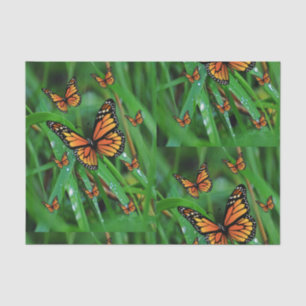 Decorative tissue paper butterflies