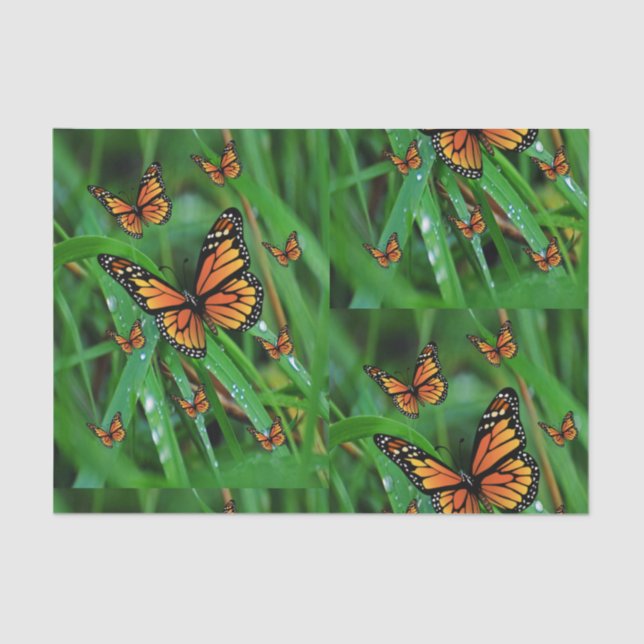 Decorative tissue paper butterflies (Front)