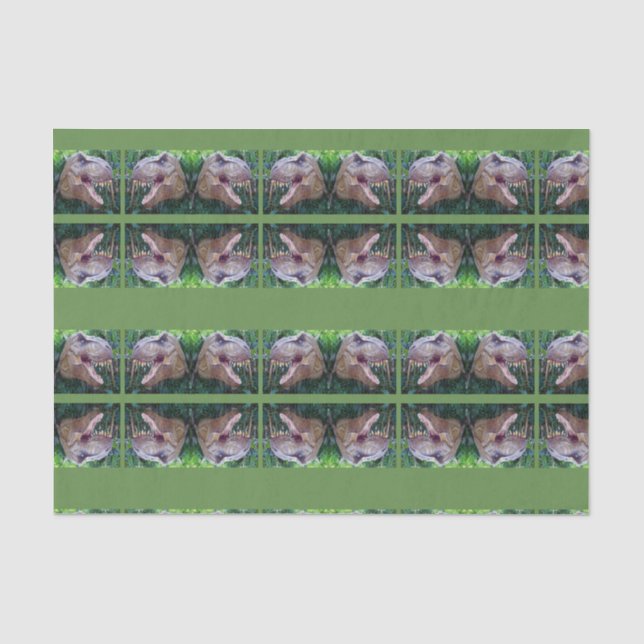 Decorative tissue paper Dinosaur (Front)