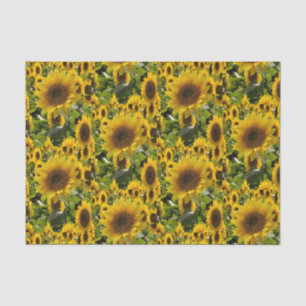 Decorative tissue paper Sunflower