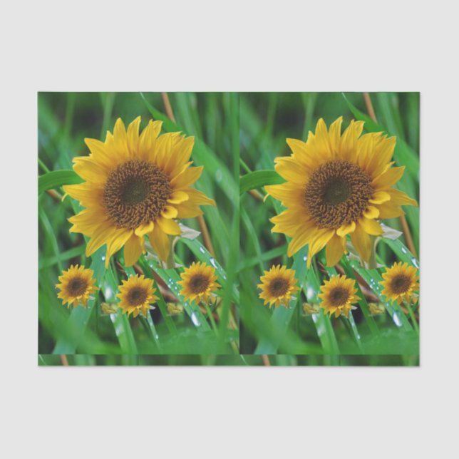 Decorative tissue paper Sunflower (Front)