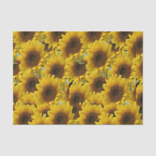Decorative tissue paper sunflowers