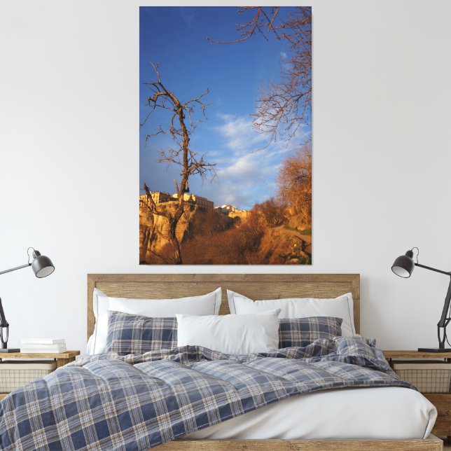 decorative wall art  (Insitu(Bedroom))