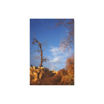 decorative wall art