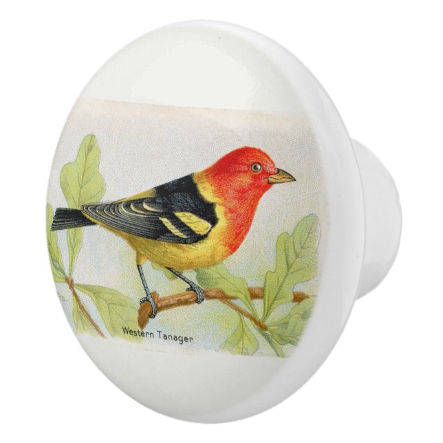 Decorative Western Tanager Bird Ceramic Knob (Right)
