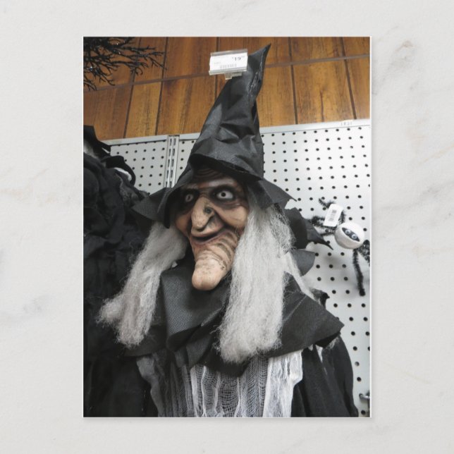 Decorative Witch Postcard (Front)