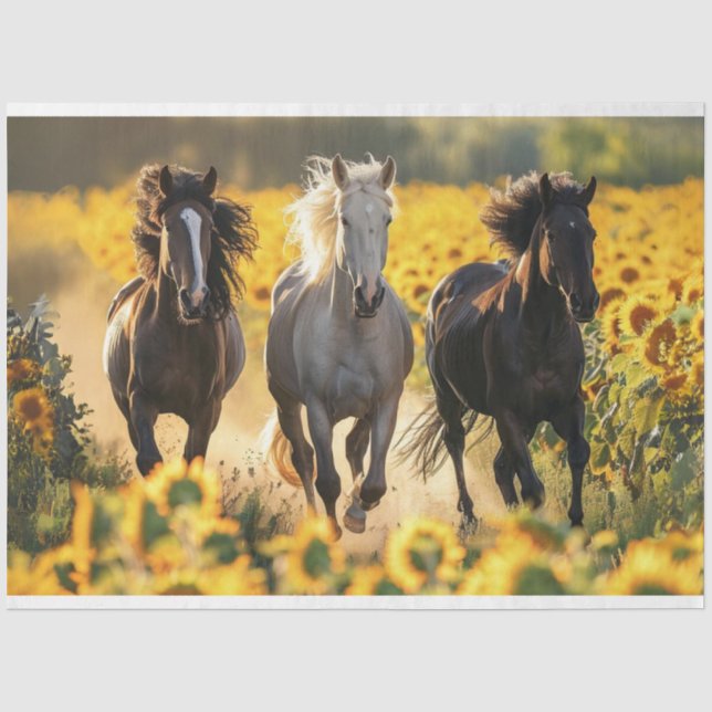 Decoupage 3 Horses Running Field Sunflowers  Tissue Paper (Front)