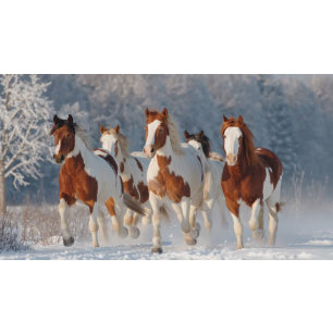 Decoupage 5 Pinto Galloping Snow Covered Field Tissue Paper