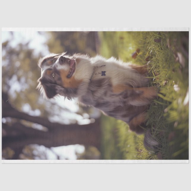 Decoupage Australian Shepherd Buddy  Tissue Paper (Front)