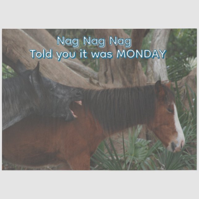 Decoupage Customizable Humourous Horse Print Tissue Paper (Front)