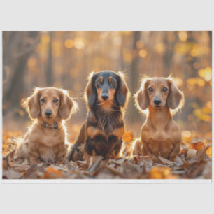 Decoupage Fall Setting Dachshunds Autumn Leaves Tissue Paper