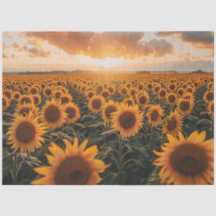 Decoupage Field Sunflowers Sun Setting View  Tissue Paper
