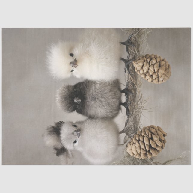 Decoupage Fluffy Chicks on a Branch  Tissue Paper (Front)