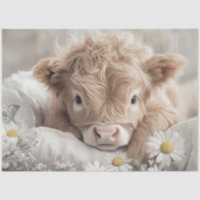 Decoupage Highland Calf White Daisies