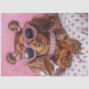 Decoupage Longhaired Dachshund in PINK Tissue Paper
