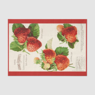 Decoupage Paper 10"x15" - Botanical Art 2