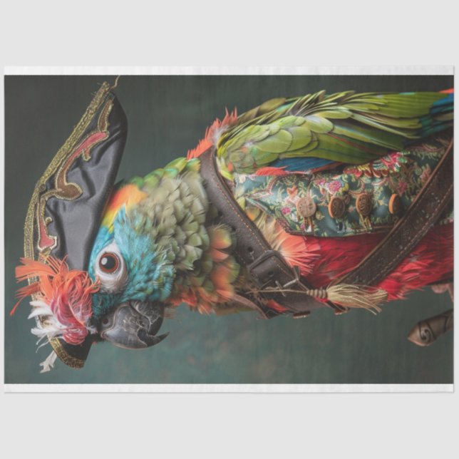 Decoupage Pirate Conure Parrot  Tissue Paper (Front)