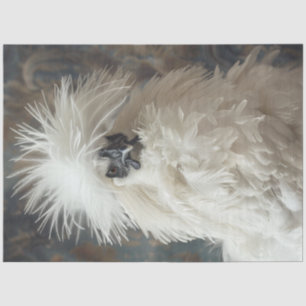 Decoupage Silkie Showgirl Chicken White Feathers Tissue Paper