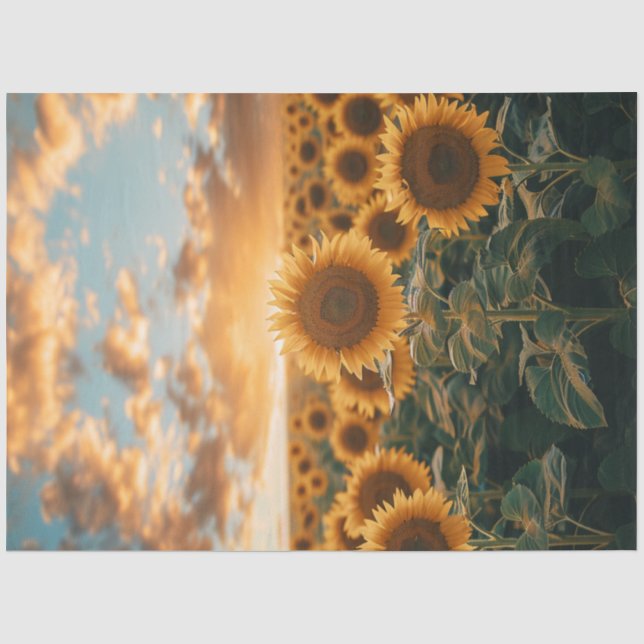 Decoupage Sunflower Field Sunlight Kiss Sky Tissue Paper (Front)