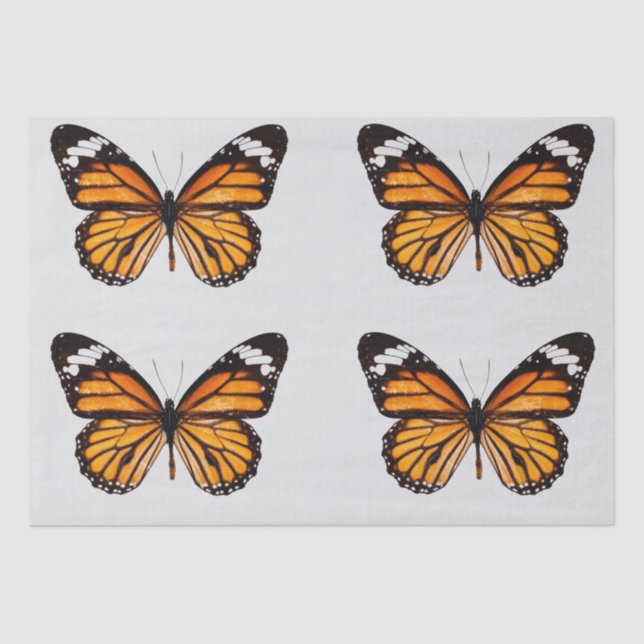 DECOUPAGE TISSUE PAPER : MONARCH BUTTERFLY (Front)