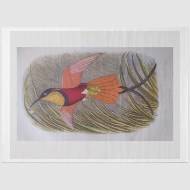 Decoupage Tissue Paper Vintage Bird Art (Front)