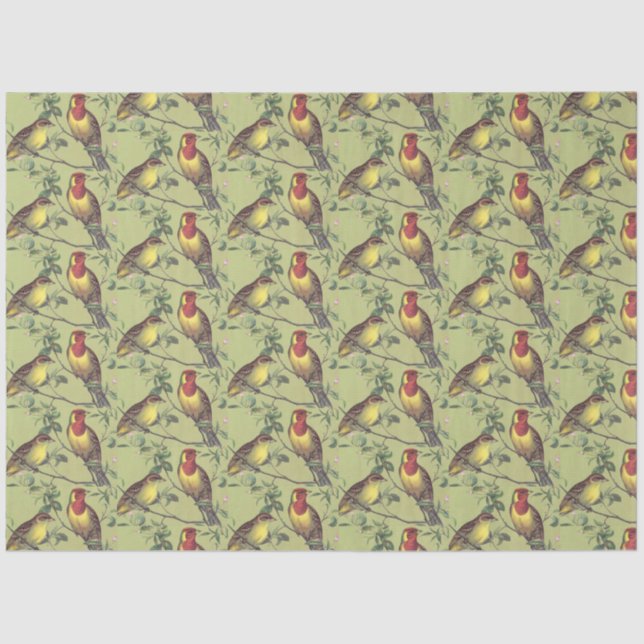 Decoupage Two Colourful Birds on Light Green  Tissue Paper (Front)
