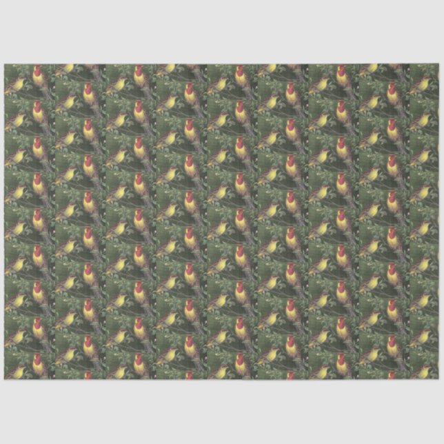 Decoupage Two Colourful Birds Tissue Paper (Front)