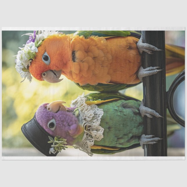 Decoupage Whimsical Concur Birds Wedding Tissue Paper (Front)