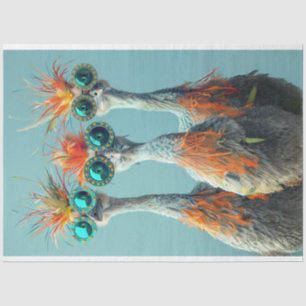 Decoupage Whimsical Wackadoodle Bird Art Tissue Paper