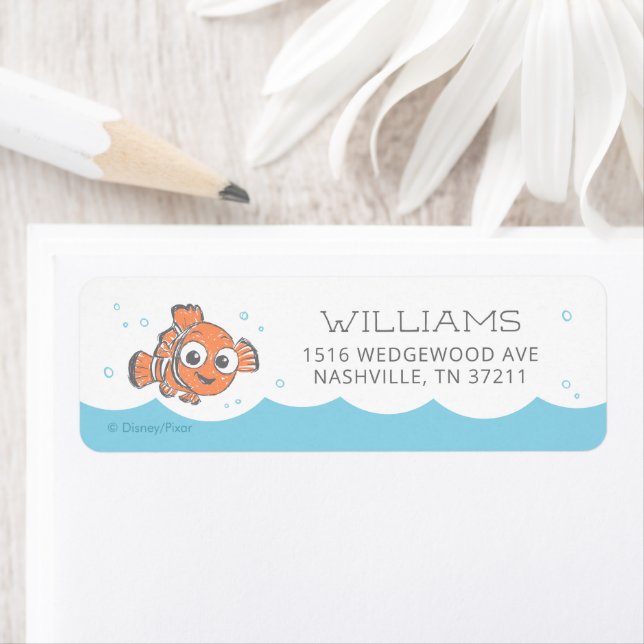 Découvrir Nemo Anniversaire (En situation)