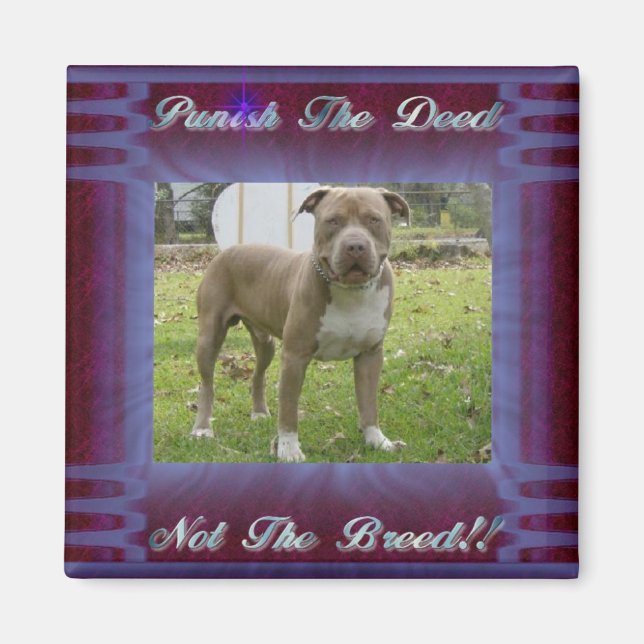 deed not breed square magnet (Front)