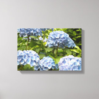 Deep Blue Hydrangeas Canvas Print